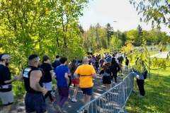 Participants et spectateurs le long d’un parcours boisé